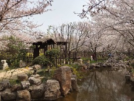 m7lCoftxd9Ci6nn9gbJG4tB4MjQ_iLujZOv05NkfcLN9Wc3hiOVUeEjEJWpMYLpw