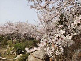 AiTg8-eu16R2FJmwtUSqA2QUi1xZMdm5EWYORb3JY2HY4SR9ROiCihNwjaCCd0VO