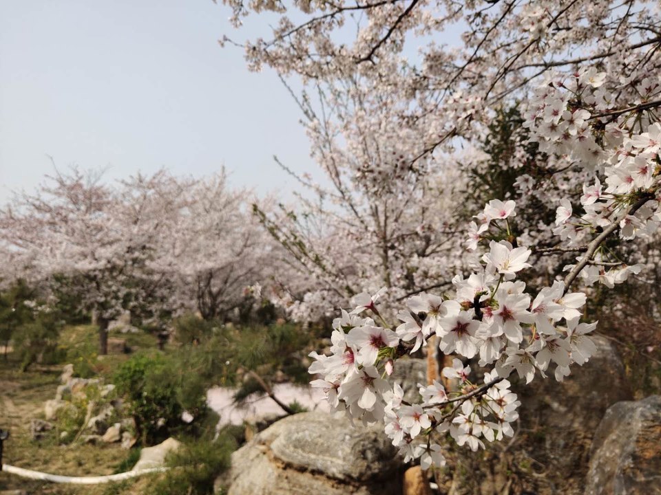 AiTg8-eu16R2FJmwtUSqA2QUi1xZMdm5EWYORb3JY2HY4SR9ROiCihNwjaCCd0VO