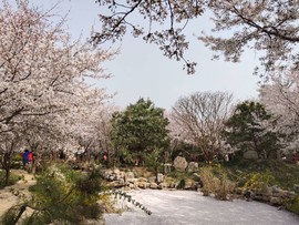 HA3s9wysJhnkHCEoVNN6oyF3uA3heOaFoZjtrH2fBLvXSqinWulrEc7NDLE_QFzb