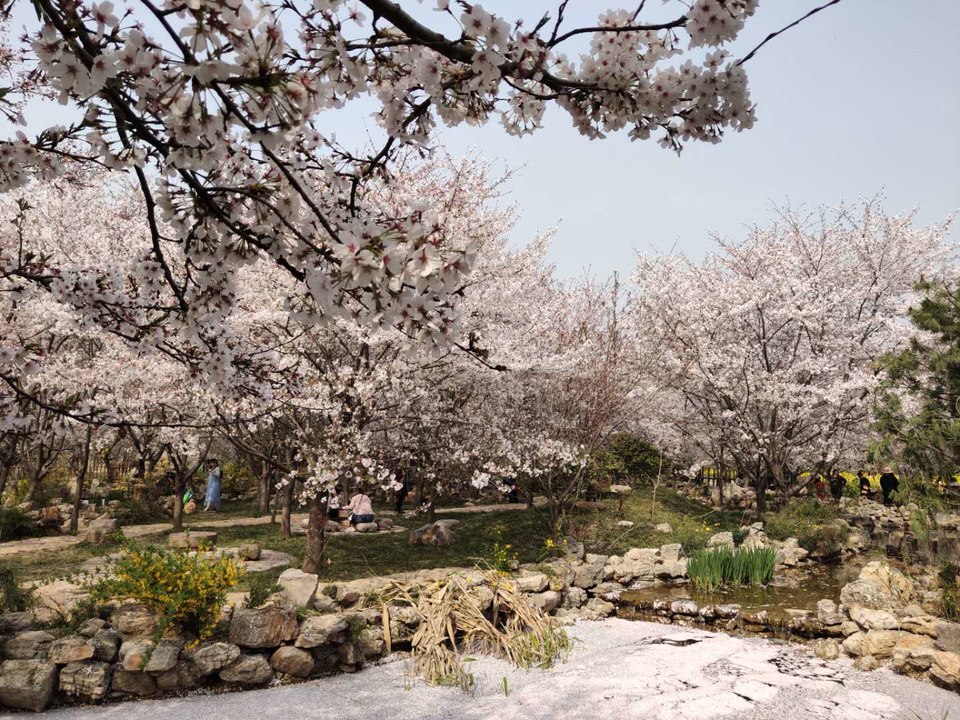 DOcEgPvf0b6R6gpCMiNxVD2DTae6GYm24FPUamW0Xh3s7WP0iGJyO8FBuMMdSSLV