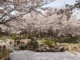 ZzZQ-cjf4RT7yPj6jRoYBkNepV5d6vQ6JA501usPDc1uunLj2hx8neWStL0_R15p