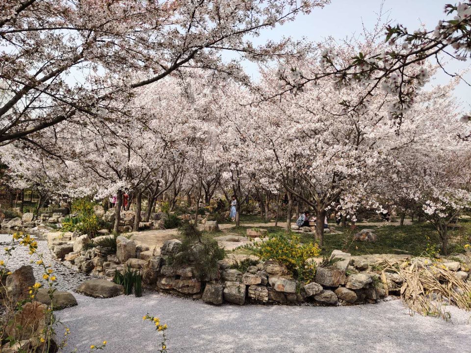 ZzZQ-cjf4RT7yPj6jRoYBkNepV5d6vQ6JA501usPDc1uunLj2hx8neWStL0_R15p