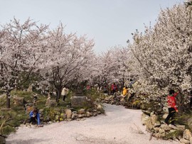 3LrCMojzLXXUmb9hZMtg8YlDsbHxaQCH76HY-Kge_qOncfsQBF0wqe1FVpkS0unD