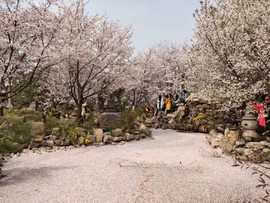 XSS2jmZsvEWfzjarNQPYSDm32Napqtgg8hi5a-0QEC2y43GLiYyXMO4f-77ZBUF-