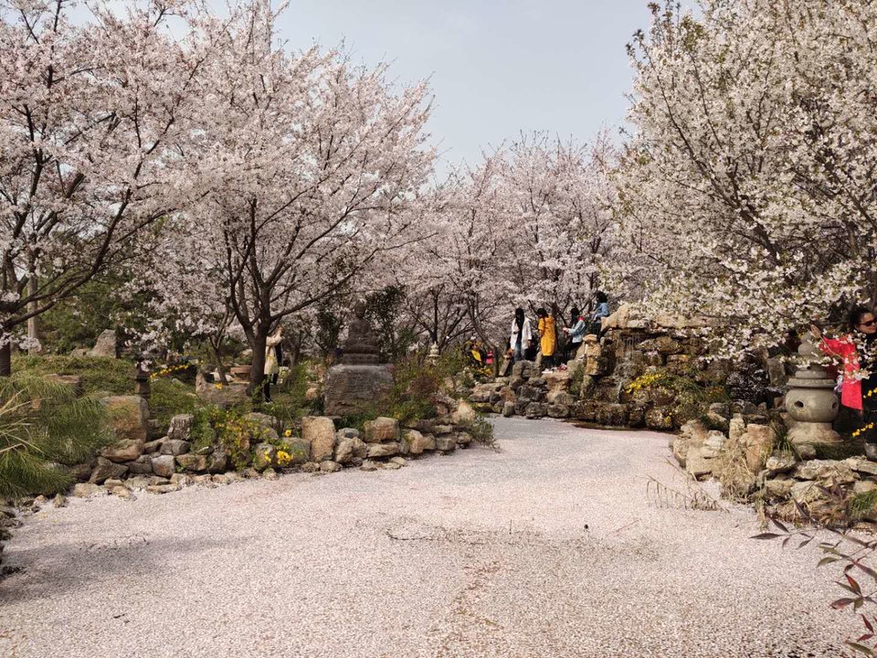 XSS2jmZsvEWfzjarNQPYSDm32Napqtgg8hi5a-0QEC2y43GLiYyXMO4f-77ZBUF-