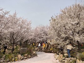 QctWuQujzEM8r5ge_e-23QRq5v1xU_2qRwn-549Y-UqhRG34EVmClLu1wYwpxWJr