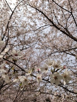 YoDl2l5CPBAfMF1iyzioNEGaj8YlqRNOWyRxZHwKvupUaaJvbPWusQXqUHts7Sks