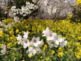 GTuDVN2POHJ3inCOZJn_9CbA6EvyFukam_b8bS_Nv3LBN5-0VfECnZeZVyZZIesq