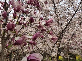 Gc_OyFuuz4_lGw1aWw0TMuQTltxV7Dwo9YQOAbM3eoqB7INUZqfxpXO54wWzDode