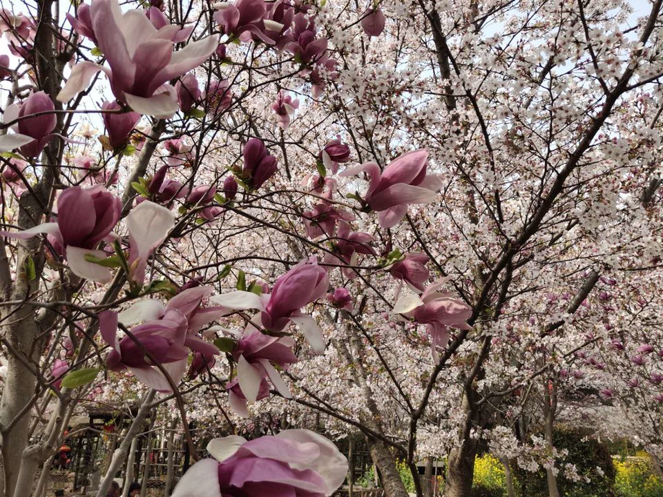 Gc_OyFuuz4_lGw1aWw0TMuQTltxV7Dwo9YQOAbM3eoqB7INUZqfxpXO54wWzDode