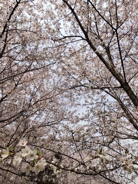 T98zE0YTAk4F7PreT9F3D0OUy6lztY4xRRCd36TN6hEj3VVQmtoF4HuQFnErs85r