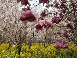 lup908ECxd1P97Vog3WoyZh1x-YBwrII1WsuDBd0oKnGxVeSXL4xOLObhL-njsY4