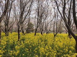 fuWDR89yW1kyFM5-2Eb3z8Wqjpokk4vZUHlut7YAyt4YkzM3UeYZnWtIJ-5d_IAm