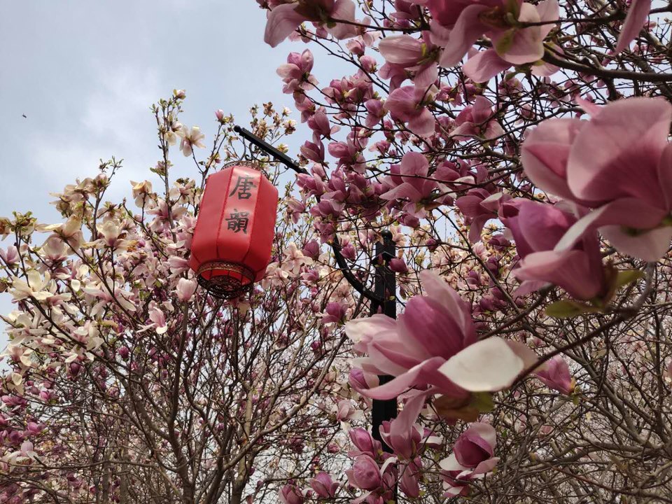 6j4CxqDhH1BcGn4tlLCidR4Ir3ImcaMpAiHBYPDPEy72FgYMcbF5a14zNIvDRDDb