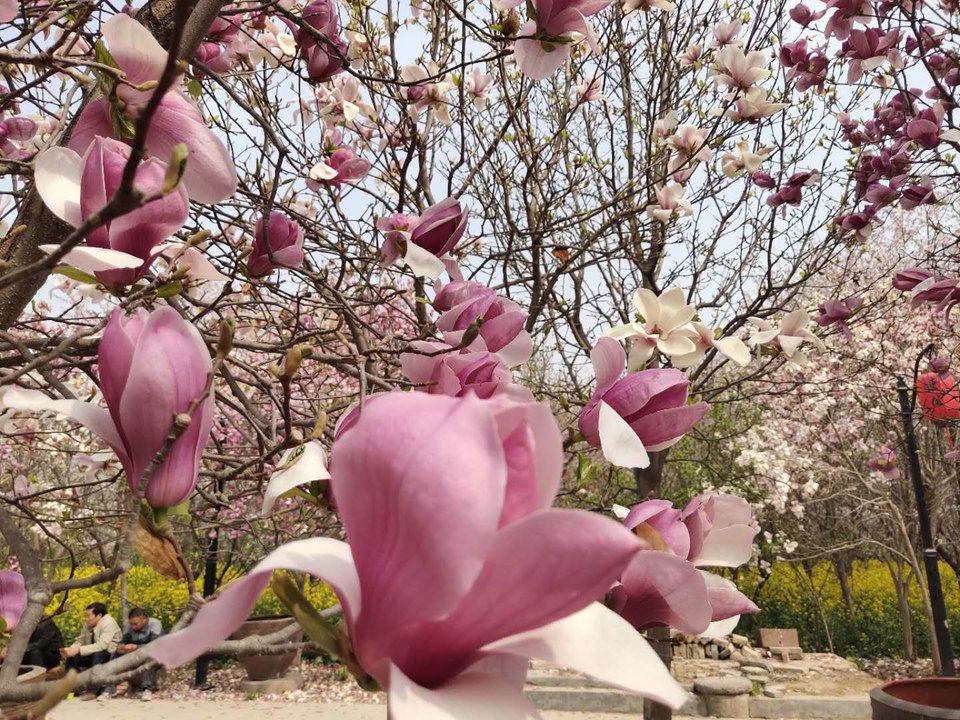 Hzfw91TBEZw2Tgi_9FjRxArpLoRexkZ4wN3pITzpTZRwXNeU8EXrTYOgsI_GdBk1