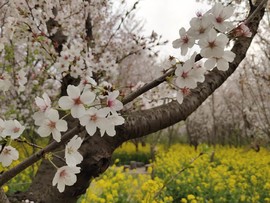 Lt8RCRqHUkCscMe7Hl8-RqbcW5vGMyfPRVwkTKVuczXA8TlyMX0B4L_OcJtfM3w0