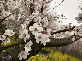 FSvTTz9pYoDdnh05MNrnpl8m0B-MRZ8v-ZQ6ix8z0SXGFroUo5QWE-kZmAYhI4ZV