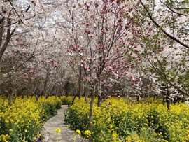 runuf4FyxbJezNfzw2tg_GGGUtJ99dj4t94hS3yPiJVJkX4nzfrRNO7_0jDJmUKt