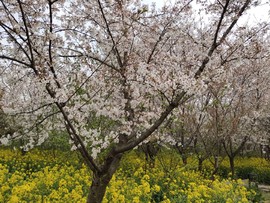 qye8zaSj8Abf28KWNKWyXcTrjV4mfepDF1BoJDlNoHQ2p16fNBdPlIDiCJQZYDGz