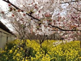 8-za5Wky3foyoyrcyQNuu3iH-iPU88GLxN2pwViItNX-N0QZJnczlJ0Lk4FIsp_U