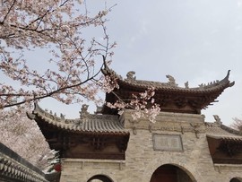 YA91nvEEJDyb_Y7teIicR1mZ25nQsRKo_utLAGdLkhe0J1g79iek1FtIsWC0O1oD