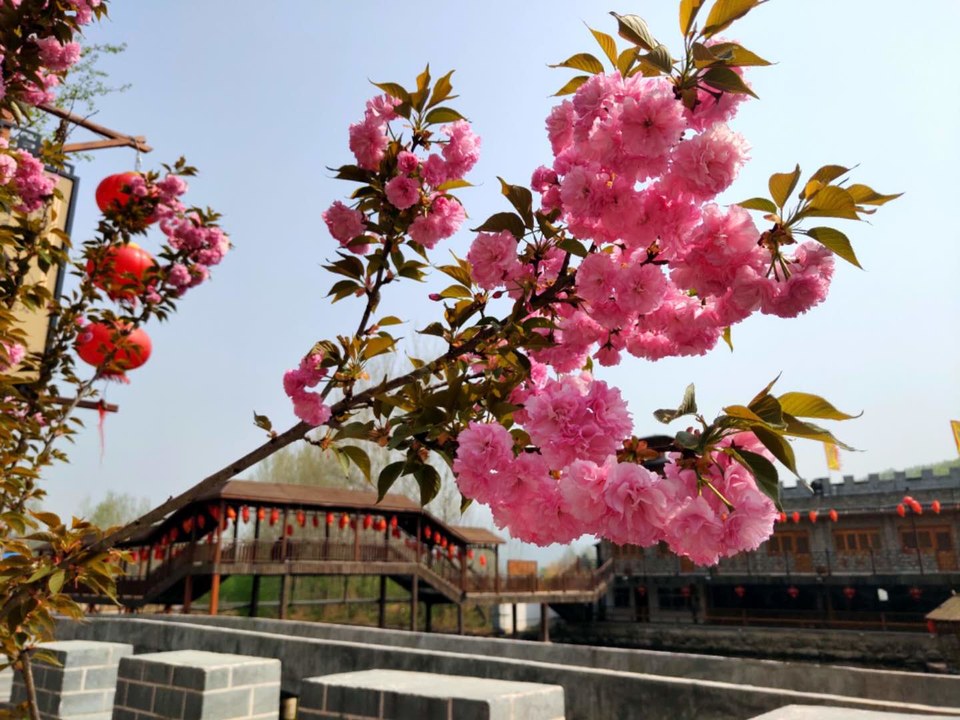 VFr0zpKOA_rZx8tYT4P_jsAzx6DZwOO64ozlU_9Enyfxku06xVZ4PREopYMv1qMX