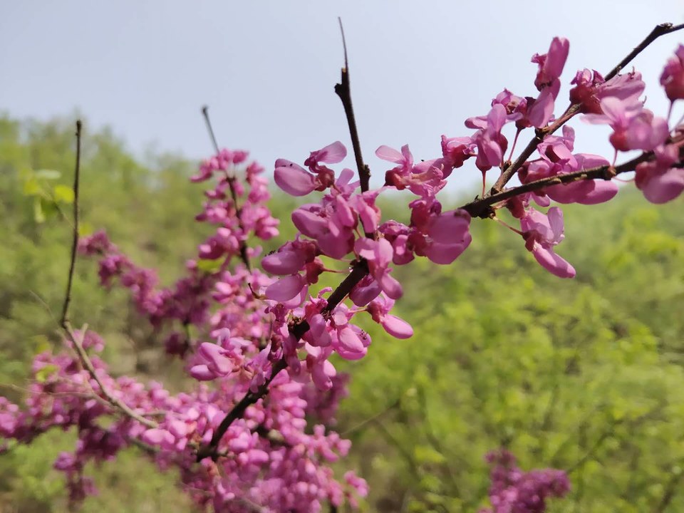 vdAUSrL7NyvYKW6oVq0JasBVzSOSfr1UVWTYdV9Fwz2iwxCwpST7xMRnLl_L8-LA