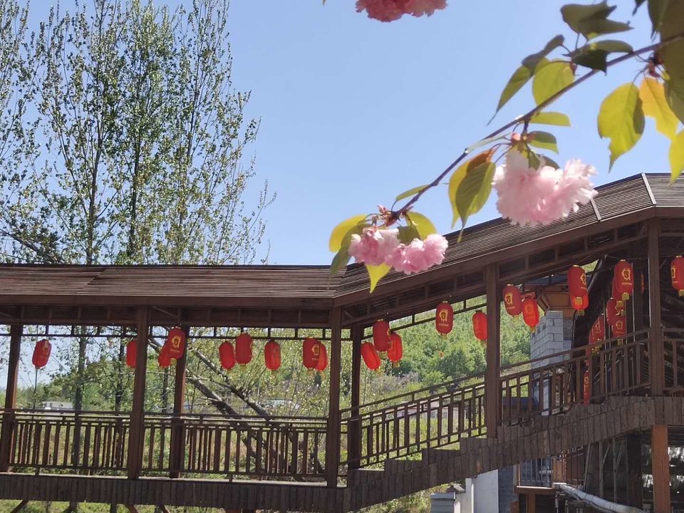 rfhd0usQd4reth11QTqNjirQyX4ZF2AsSyc1KXnIM75m7dj7QAGZqkwiwEuJWZwA