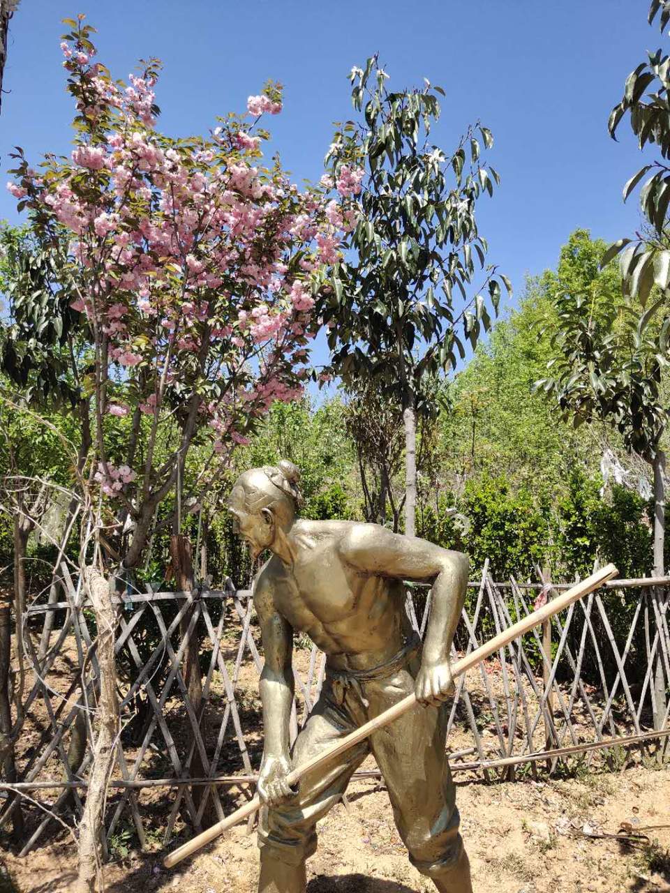 mrQwvKaBaU8_Yw0iSq-XinohpGdoRkdGvk7_UKBMFN44w_QmG6dhU3qM-tXN8Io8