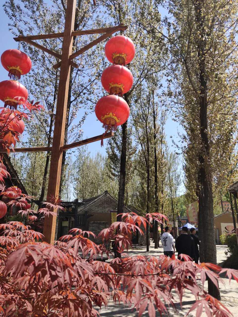 epcdxp5wAZRNPRlvAwI31Id4lxpNeFFnNG6mN32MEz1M5GHqLCPEsa_5y5B-ppLW