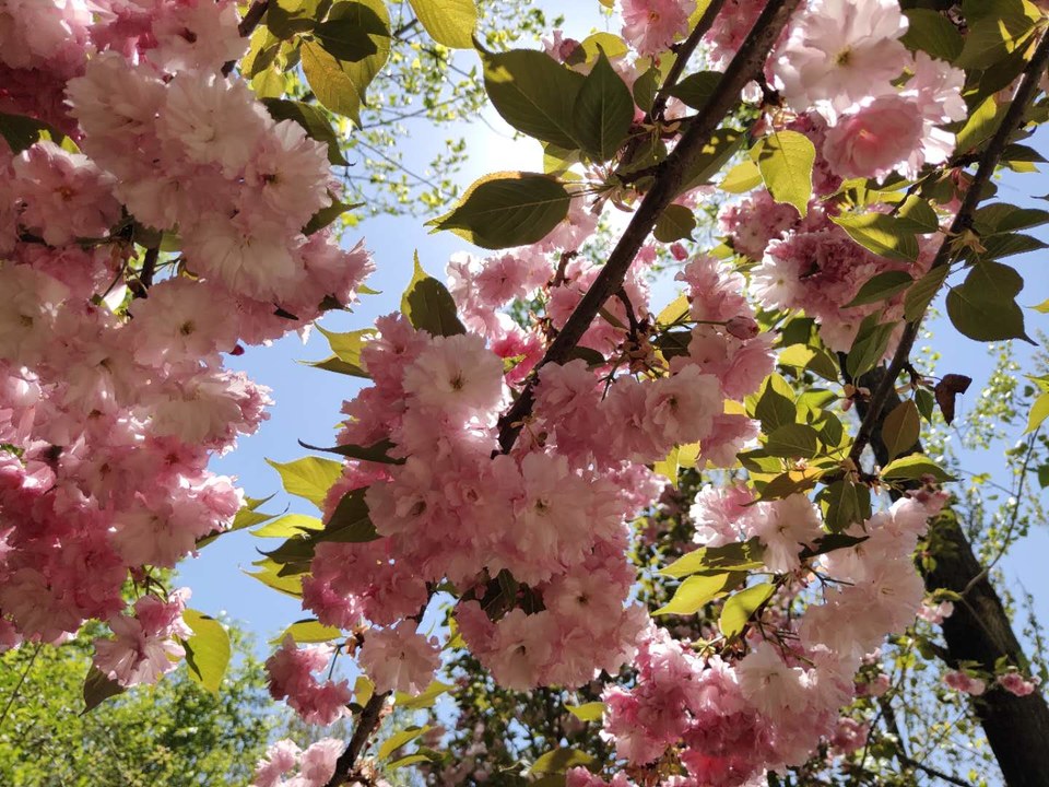 T15RJ2Vas2SCIgcixtOSZ6w3YNemVSeB_ZzmonrDfIYyGdwU-jSgNj947kvbZfP6