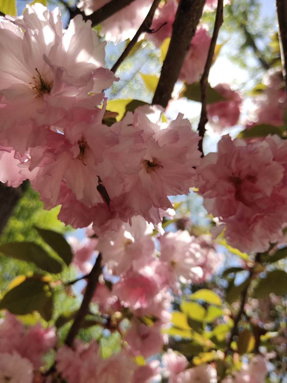 m710tEiHLkGCJVkRBlif_egt740vXeNmPkIRkW9j7nS81kz-6r-b2jNbBZxrzkoM