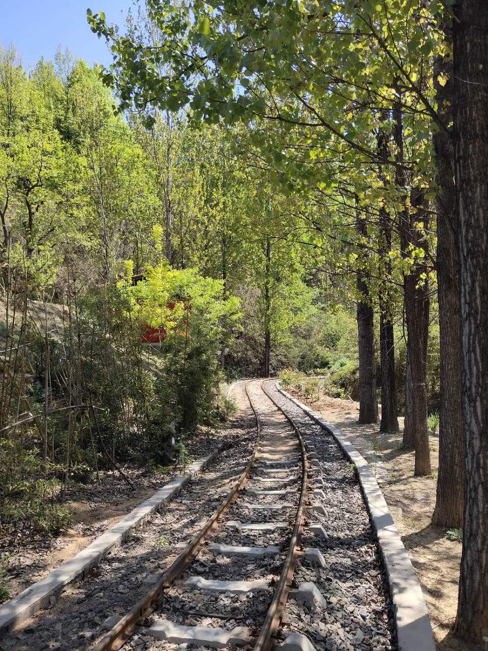 zam-c_v26ewpur0wmVzVMselKl91Iqkx100oo7kATwm_AX8MnJ2f1KwUz8KWa0nO