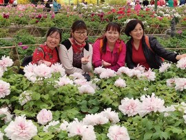 Hzfw91TBEZw2Tgi_9FjRxIVgT8YRPLwh_xYhiC_YB9QQ65kWpvhUxKdSNjAHXQAh