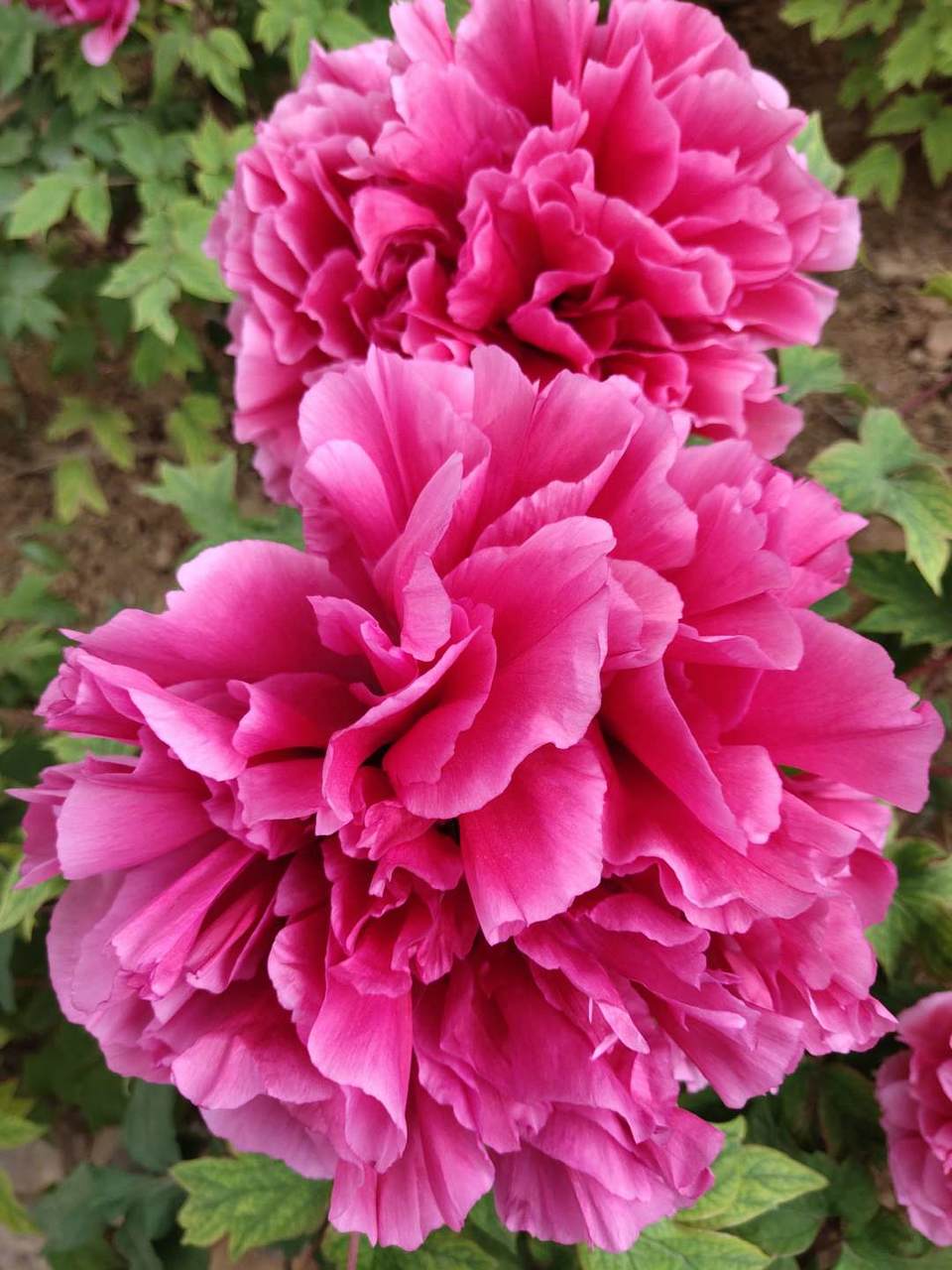 8UU-Vke3I7UJL2fVtuV5eZjP1r0CCVS5KRHMPmkMO5sQSHGDwEhpodEunAM_IdOs