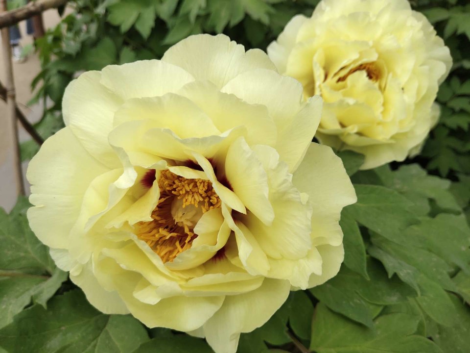 ZskgNrmbwnJUEl3OqrFoXvU-FUvxHYsflxtHkHhW_d9xbZ3C2ZFr2nh3tYkfNKdY