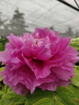 P-XhO1cjs17ImcC5ZaYkPoxmBc1tG1g_ghwRpW__6zzxk0tithck5lxSvL3Hl39L