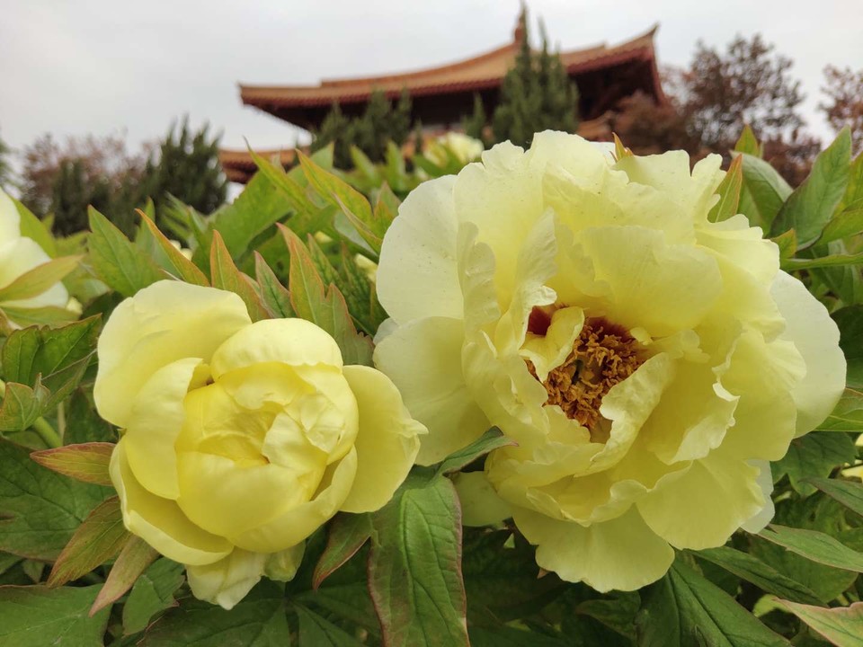 X3fUWq9KOJOsXiP55hl0HfT4AxdcDWOhUS48glF_brcXpOi9e0TzVv5dearXPcIS