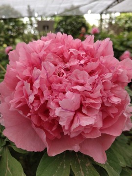 Em7gqcM-IsIvg9TkA8yVxuyN5cCN2U1pnhZTCjc7Kbjt9RbE8xWxSIq6DKKfMZfG