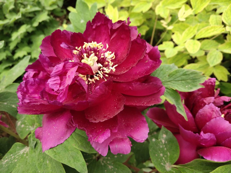 GmY-4akrLqVbeIKioshSdxdtp3wg3oTAPjfaRWvoJcKLQsrj-rE9d3CgvPYCwmV-