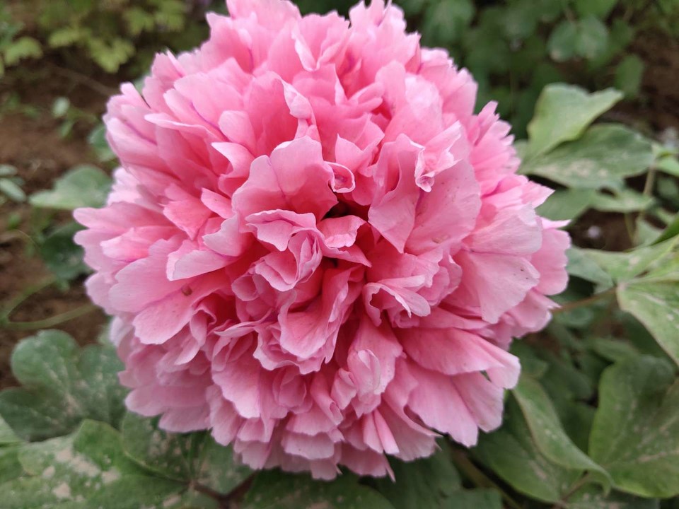 -_rsJS6MIZK7c5n3pGbfJiFXzqa-BFy0HWlnJUXj5yDoUxvRundhIC62fI3qxxzv