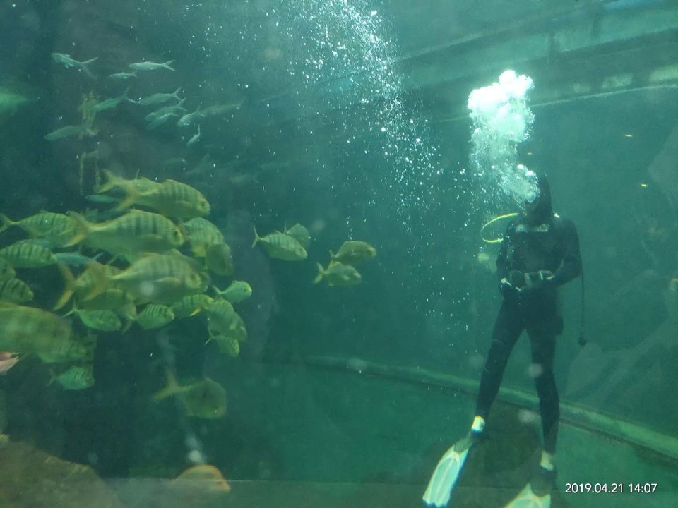 5FIJvCTV1axSYUZ4uz5HjqLfB6LaGgkSjDXeM5cj4kk3mRf0yYq5wOM4iGriDSQ6