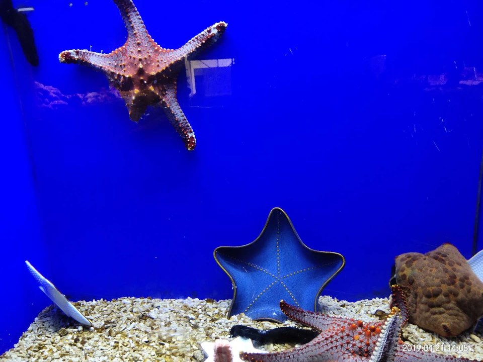 vnknDEelWJXOy2ckJ8X0anWfklJh-cxdw3heEycsjxIHvMtKuXsrk2zR4wWdfwuQ