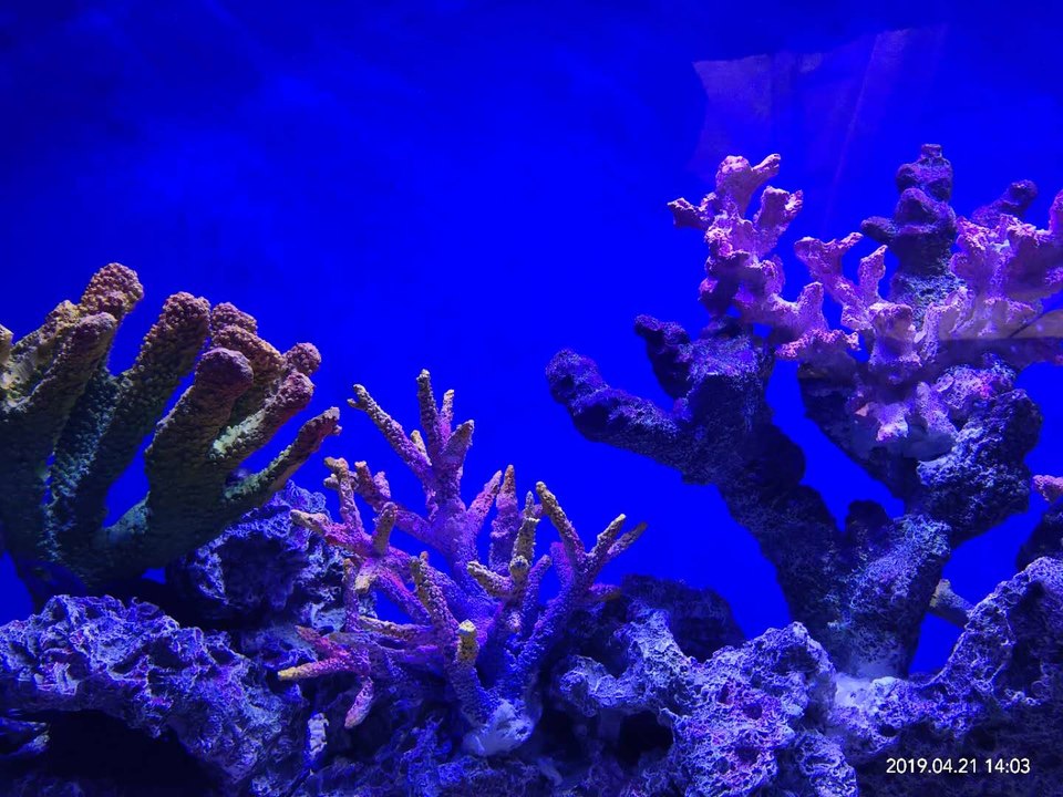 Wb2rZxlKAhFj7ETA94DEklB3G3MUQMg91G2fGIfJOds_j9G1a-7iDDf3Z2Q0zT5t