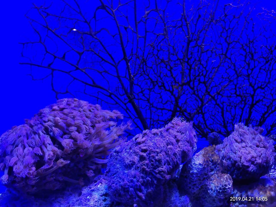 TBXoEh9XT01t4vp-GL08s9Sdx4i5UQRzxAWD2C0lRkHC2-tIkV2uI6IBLYDaDKjt