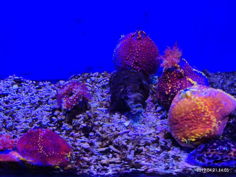 sMIsX32514MzY9e2ttqGPnpgHl3FbZ-09hbPUh1thW-pTg09hDklKuRvqmE5j79q