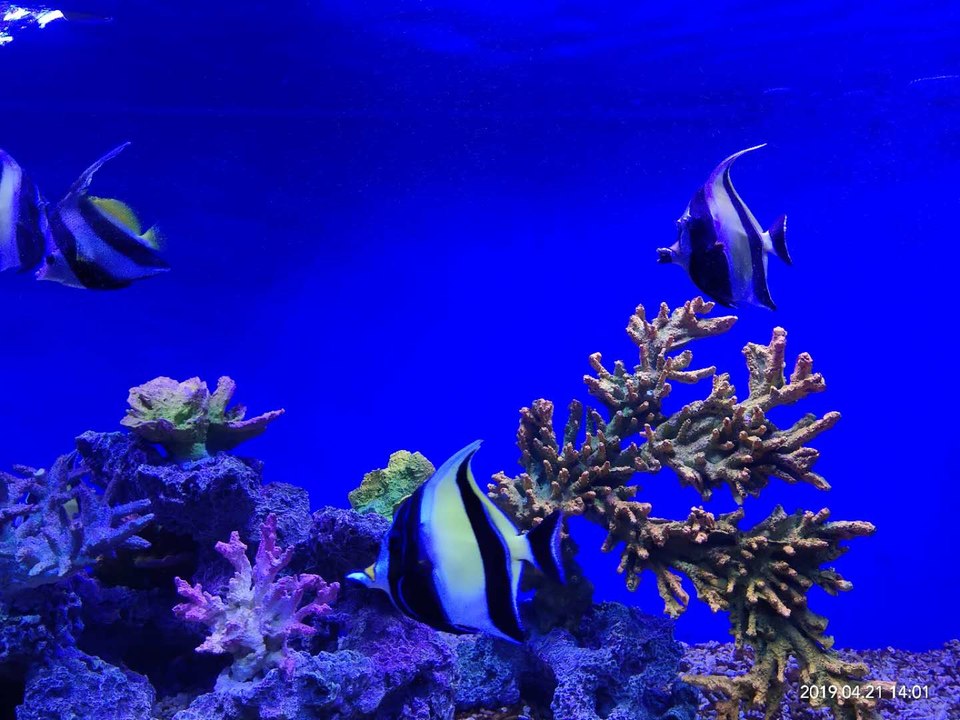 4J2yoNUTzCWajdp9gOXokA3sdhSvpMojCDCngl9--PdQdpM2EaFCGH2YYzP5eQbT