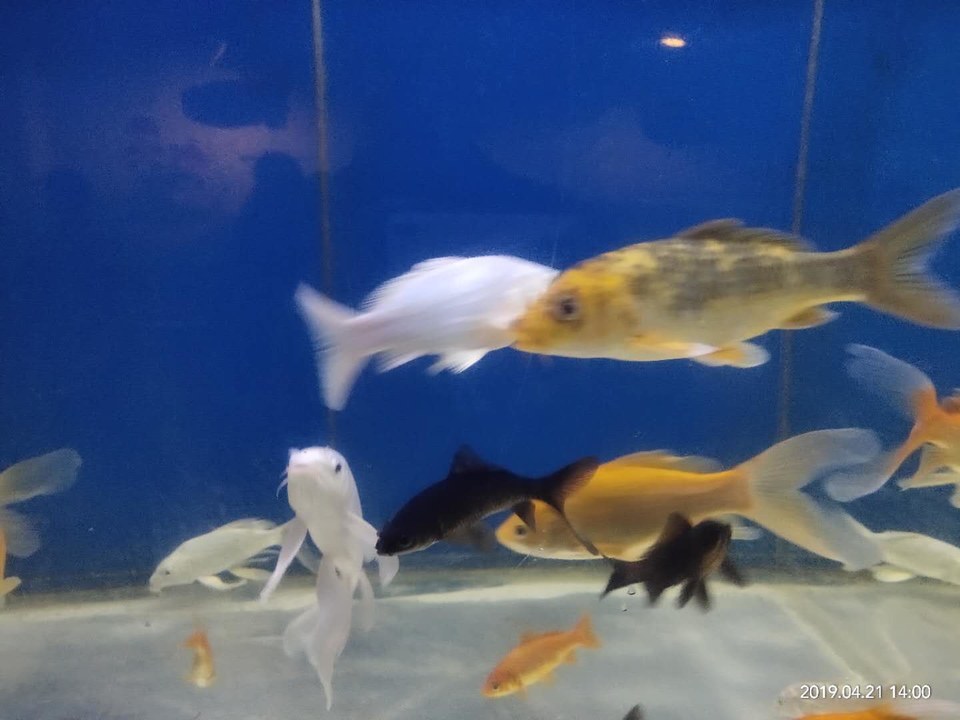 _JVgL8kpojfdUSZUBV7kQWgDgb-eEWHt1CSOpRaWsgouRYAh00fW7MAHTTfrX6V7