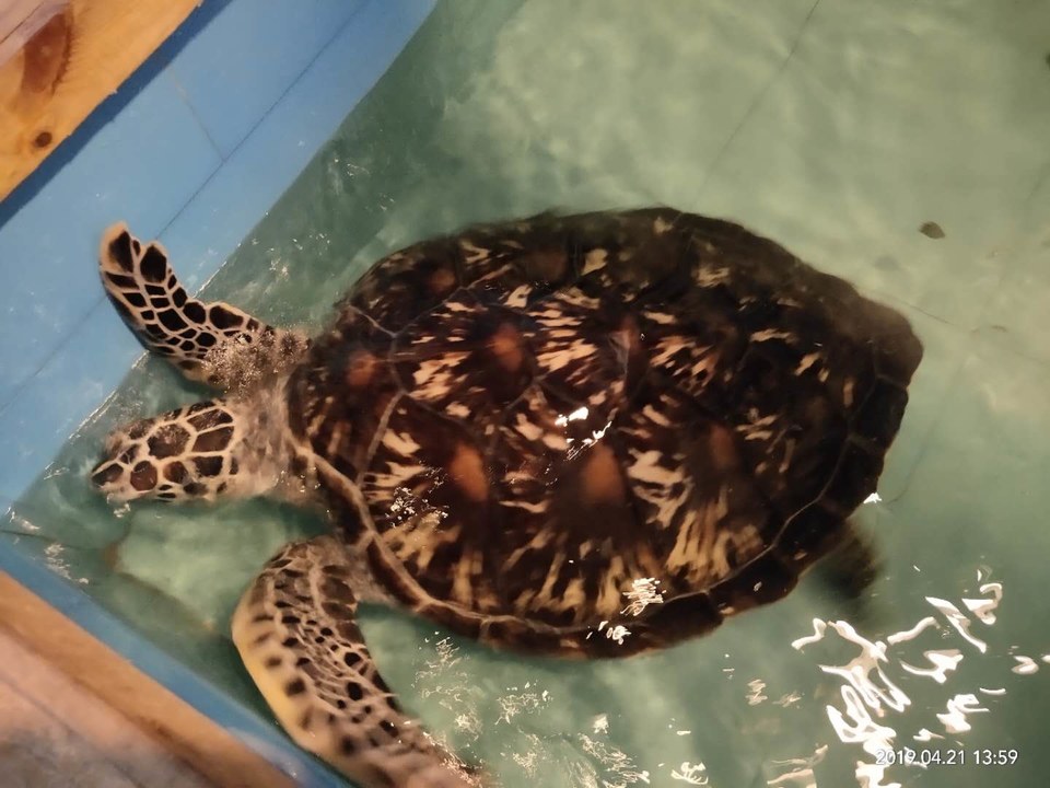 Up_CxDgtYn-_HOVfipc8ITW9vsXFZ6lpoJlQO3S7ZqKoF1Qi1BK8C12ei6abm5Bc